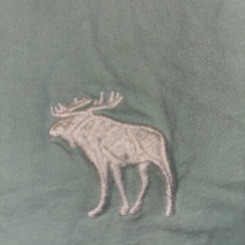 Abercrombie & Fitch , Men's Small, Green, Short Sleeve V-Neck Logo On Chest - Picture 3 of 3